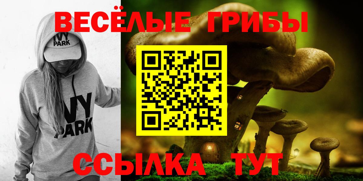 Псилоцибиновые грибы прущие грибы Иваново